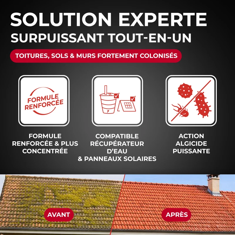 Destructeur de dépôts verts, rouges, lichens et traces noires prêt à l'emploi pour toitures, murs et sols extérieurs