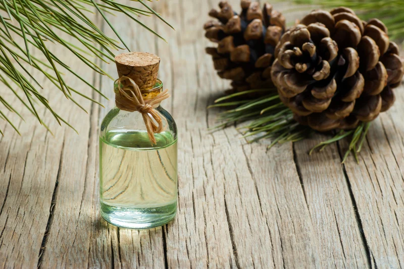 Balsamterpentinöl natürlich für Ölfarben, Holzöl und Reinigung