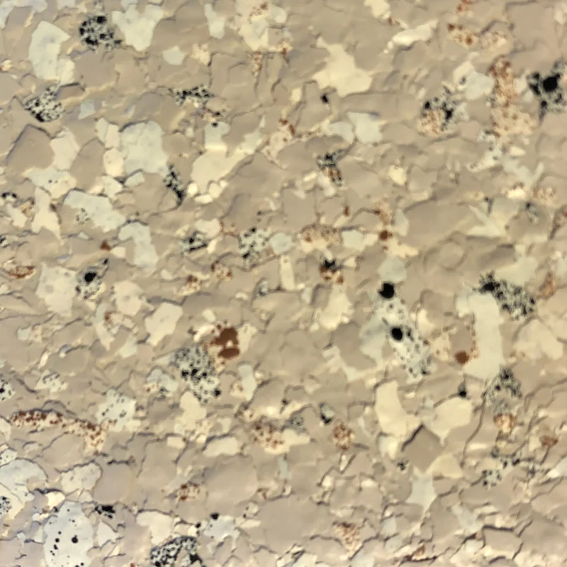 Paillettes peinture murale
