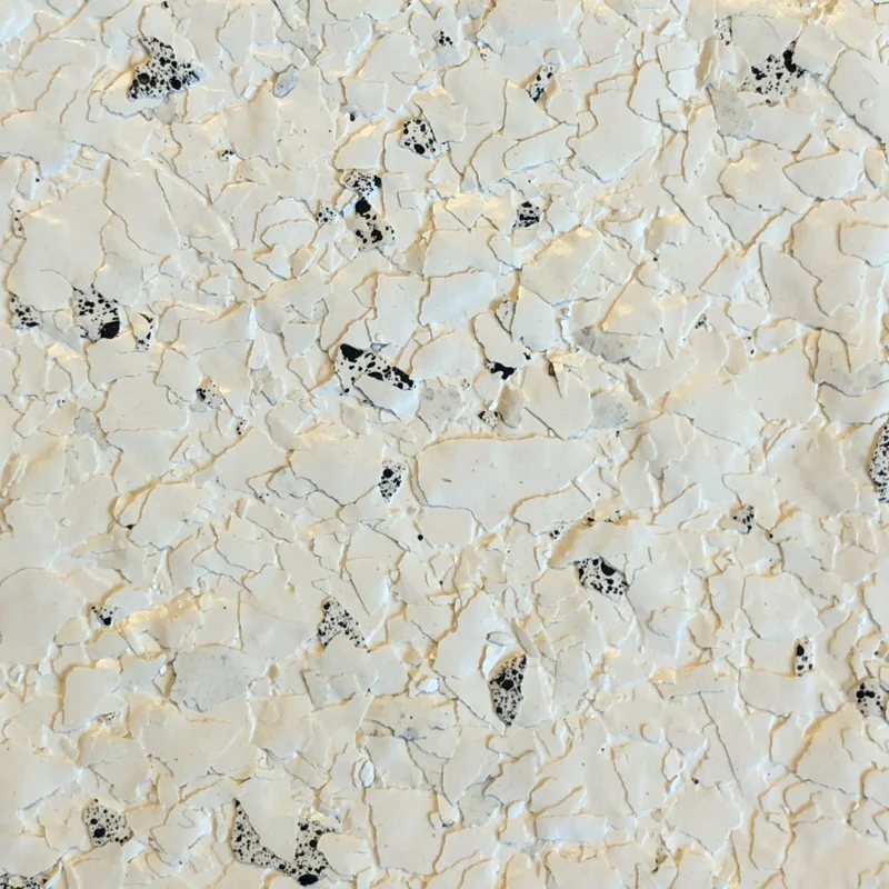 Paillettes peinture murale