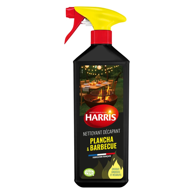 Nettoyant plancha et barbecue