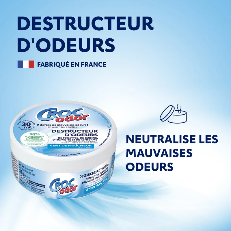 Destructeur d'odeurs vent de fraicheur