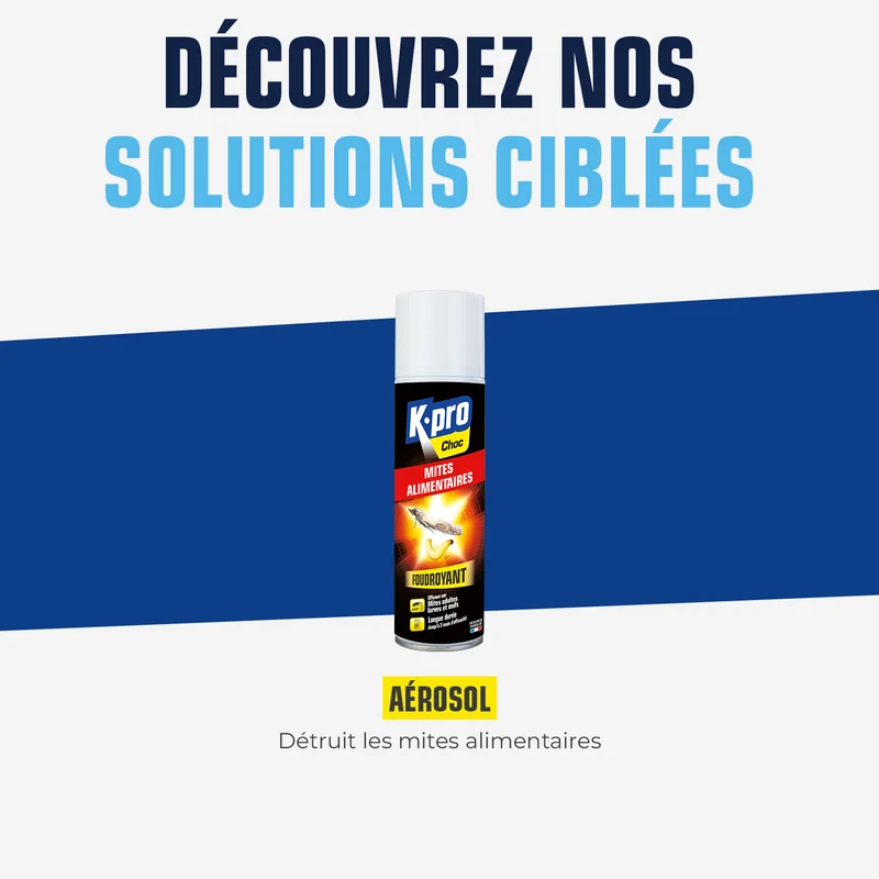 Aérosol foudroyant mites alimentaires