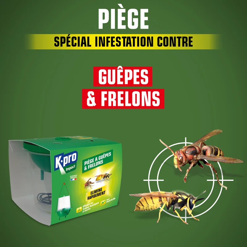 Piège à guêpes et frelons