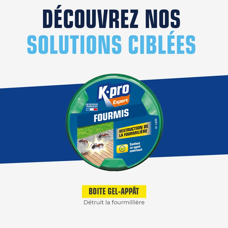 Boite fourmis