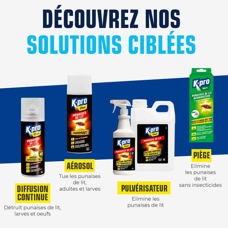 Recharge insecticide punaises de lit