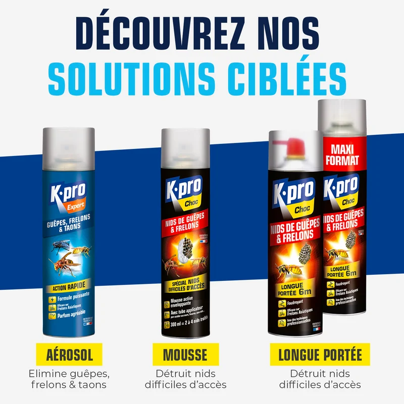 Aérosol contre guêpes et frelons