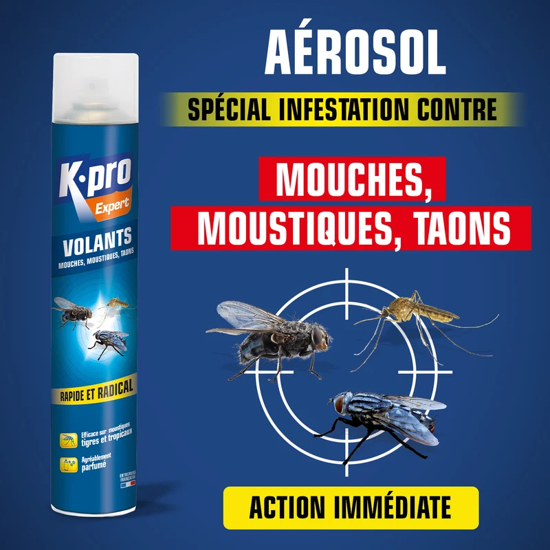 Aérosol insectes volants