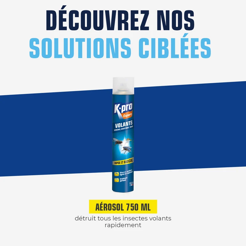 Aérosol insectes volants