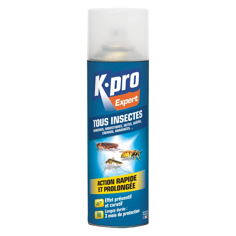 Aérosol tous insectes