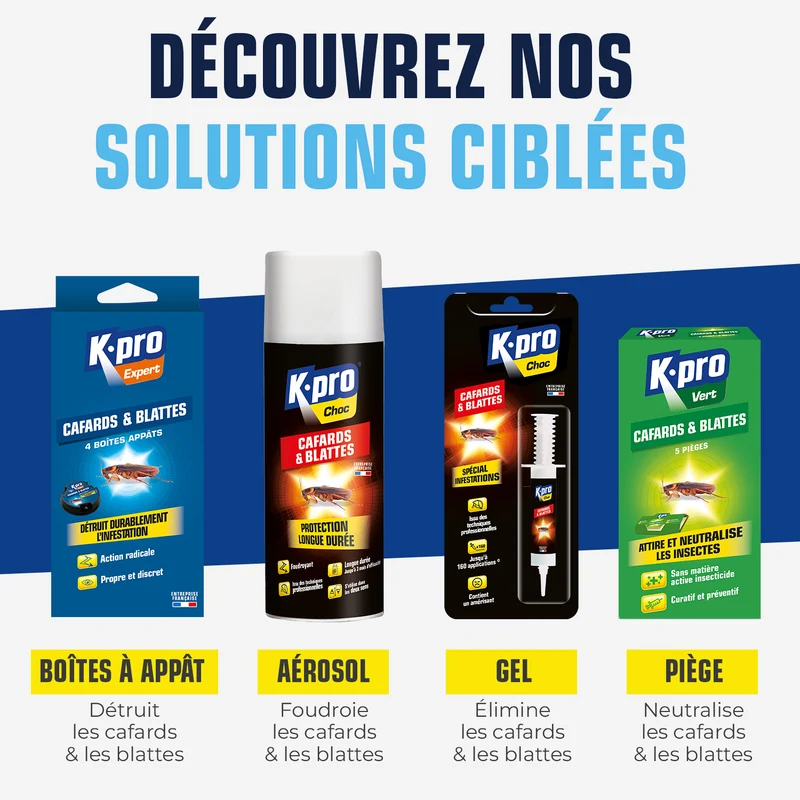 Seringue cafards et blattes