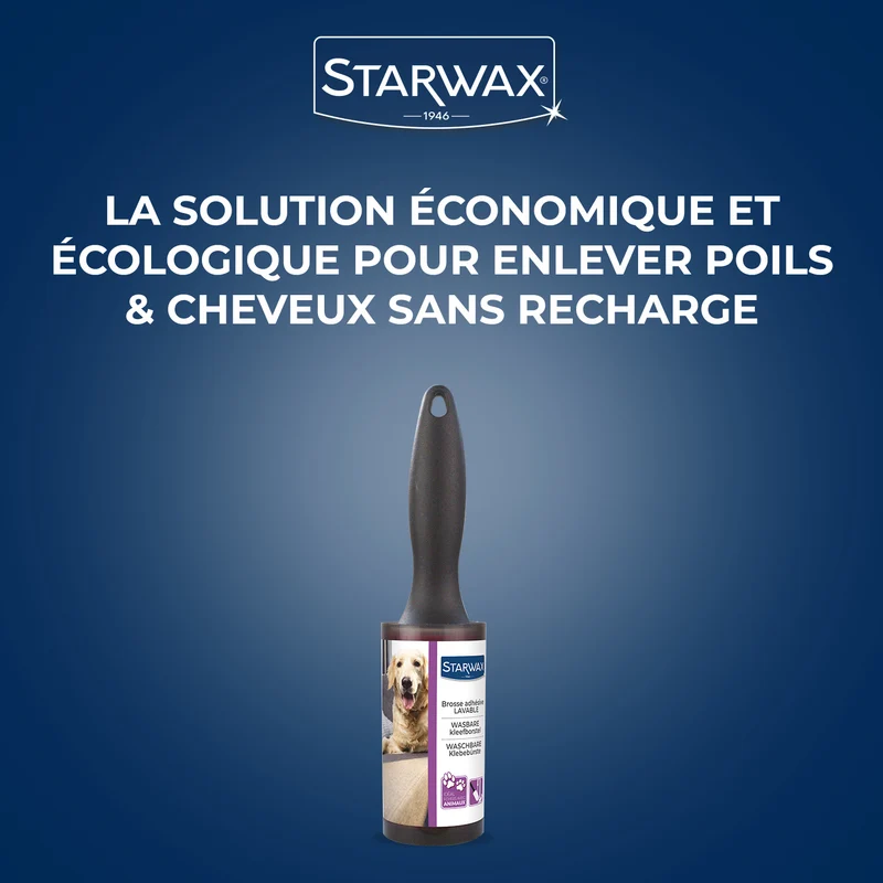 Brosse adhésive lavable
