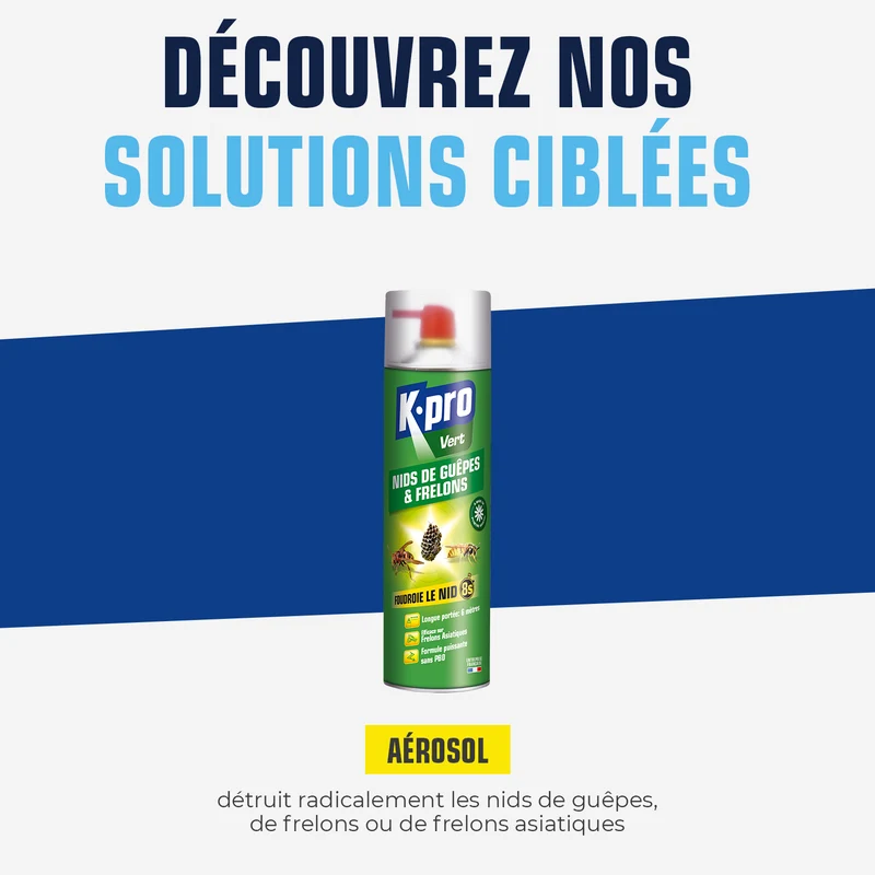 Aérosol foudroyant nids de guêpes et frelons
