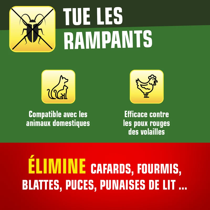 Terre de Diatomée Punaises de Lit avec flacon applicateur