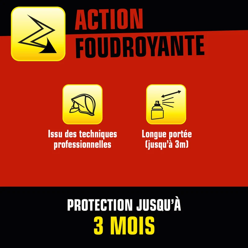Aérosol foudroyant araignées