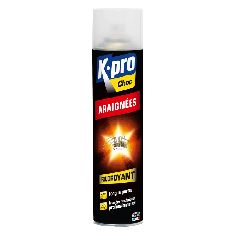 Aérosol foudroyant araignées