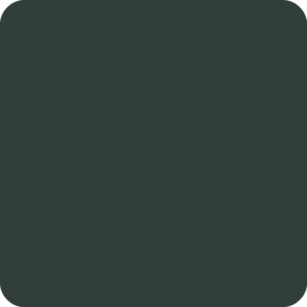 Peinture Natura Linéa® Vert Noir (RAL Classic 6012) Ruche SATIN
