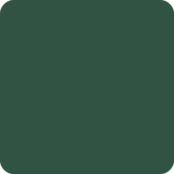 Peinture Natura Linéa® Vert Pin (RAL Classic 6028) Ruche SATIN