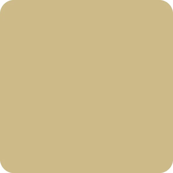 Peinture Natura Tassili® Beige Vert (RAL Classic 1000) Intérieur/Extérieur MAT