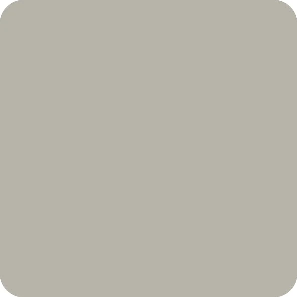 Peinture Natura Tassili® Gris Soie (RAL Classic 7044) Intérieur SATIN